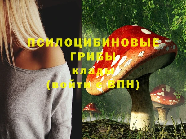 шишки Белоозёрский