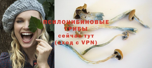 mix Белокуриха