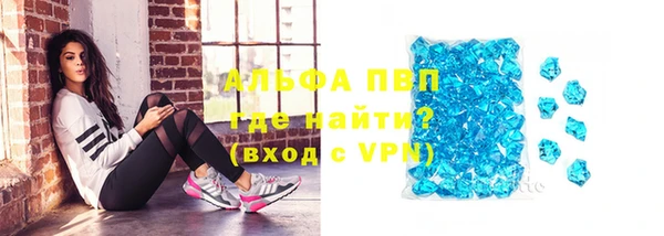 прущие грибы Богородицк