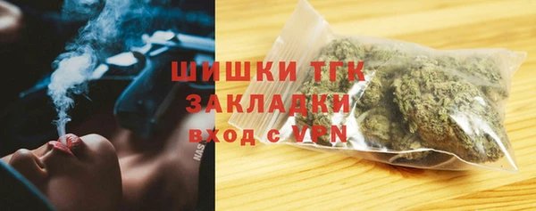 прущие грибы Богородицк