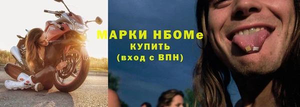 прущие грибы Богородицк