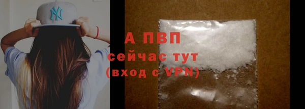 прущие грибы Богородицк