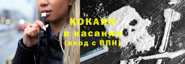 шишки Белоозёрский