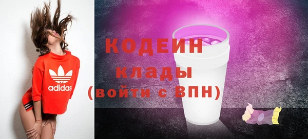 прущие грибы Богородицк